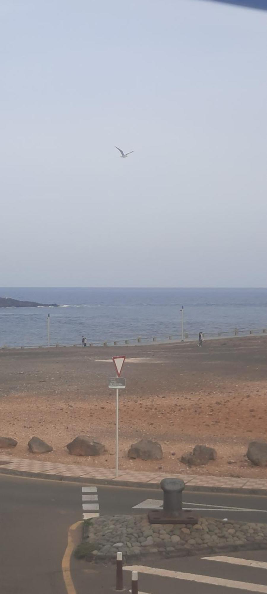 דירות Casa Faro De ארינאגה מראה חיצוני תמונה